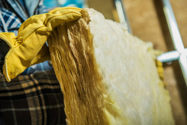 Best Residential Insulation Services  in Macon, IL